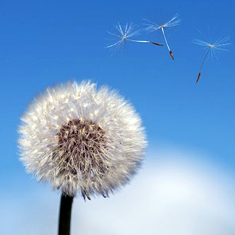 必赢·网络游戏平台-(中国游)有限公司