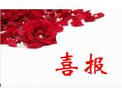 必赢·网络游戏平台-(中国游)有限公司