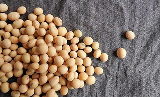 必赢·网络游戏平台-(中国游)有限公司